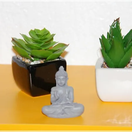 O Grand Canal ! Toulouse