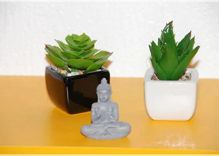 O Grand Canal ! טולוז